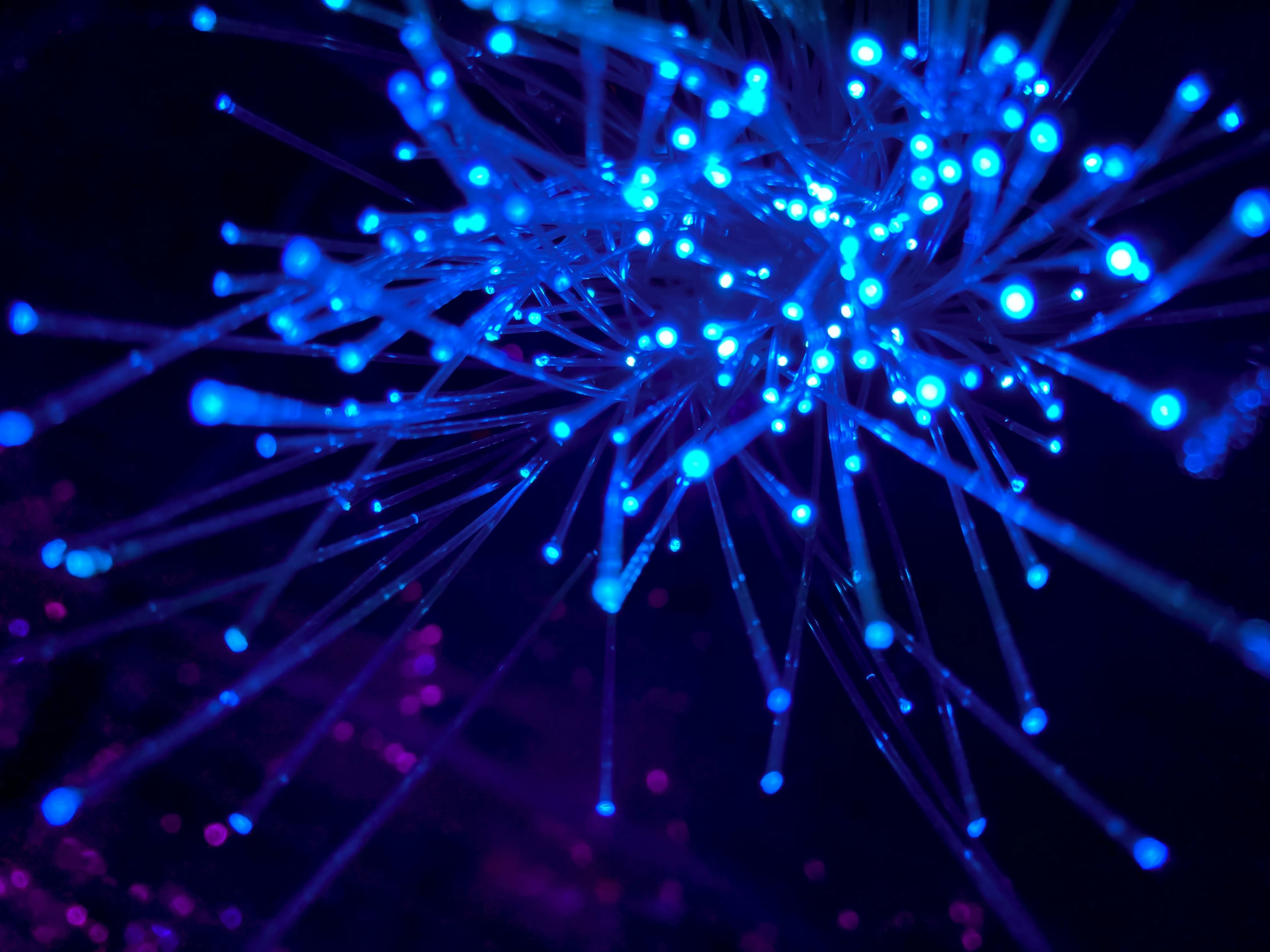 Filamentos de fibra óptica iluminados